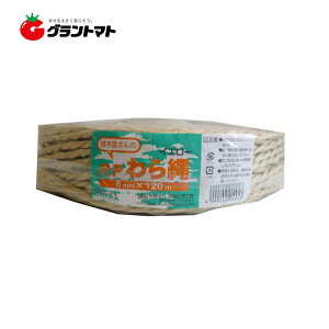 PP CG[ 6mmx120m GG061 {wH