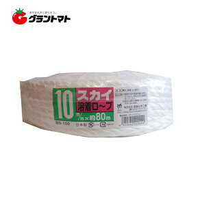 �X�J�C���[�v�� BS100 10mmx80m �{�����w�H��