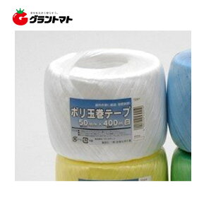 �|���ʊ��e�[�v �� TE0401 50mmx400m PE �{�����w�H��