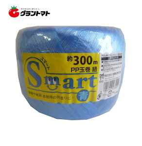 X}[gPPʊЂ  ES302 300m {wH