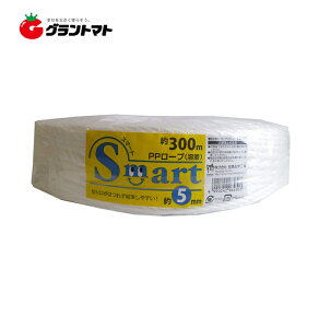 �S�iP3�{!20���`4h���� �X�}�[�gPP���[�v(�n��) 5mm×300m �� ES-530 �{�����w�H��
