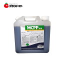MCPP液剤 5L スギナやクローバーに効く芝用除草剤 丸和バイオケミカル【取寄商品】