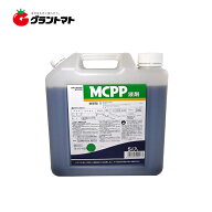 【P5倍 4/10 20時~2h限定】MCPP液剤 5L スギナやクローバーに効く芝用除草剤 丸和バイオケミカル