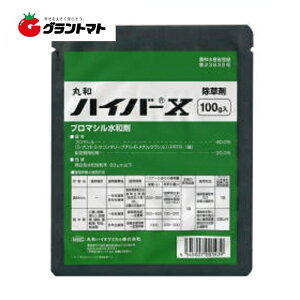 nCo[Xa 100g Βnp _@ۘaoCIP~Jy񏤕izy[։i1܂Łjz