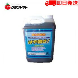 はや効き 5L 除草剤 希釈タイプ 非農耕地用 グリホサート34% MCP入り シンセイ