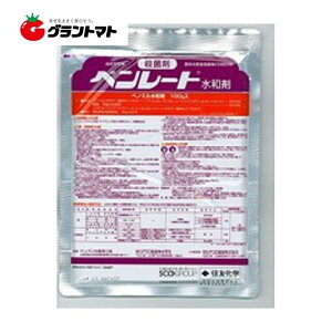 x[ga 500g 20ܓ ΓyaQE`aEۍ _ ZFwy[։i1܂Łjz