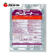 ベンレート水和剤 500g 対土壌病害・伝染病殺菌剤 農薬 住友化学【メール便】