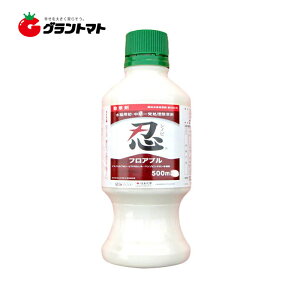 y݌ɌzEtAu 500ml ꔭ ZFwy܁z