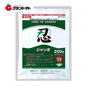Iōő100%|CgobN EW{ 200g×20 pꔭ _@ZFw