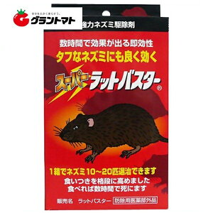 12/5IXSi|Cg3{ X[p[bgoX^[ 5g×7 ͂˂݋쏜 ۍi