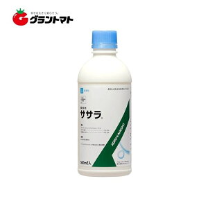 Iōő100%|CgobN TT 500ml W AOJlVEy񏤕iz