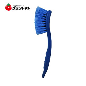 ʐԃuV 抄 CS-21 SPA R[