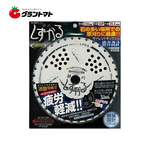 (Ê) T-S2019 230mm @pTCg`bv\[ ֐m