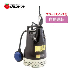 |X^[ PX-650A p|v 60Hz({p) ^] Hi y񏤕iz