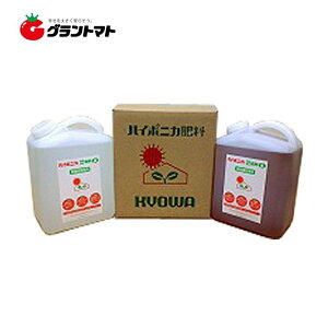 nC|jJ A+B e4L (4000ml)Zbg k͔| ảt̔엿 ty񏤕iz