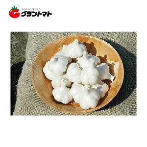 yXYzzCgZЃjjNq@MTCY@1kgi18jy؋z