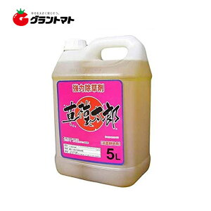 Iōő100%|CgobN ͂ꑾY 5L  ߃^Cv _knp OzT[g41%