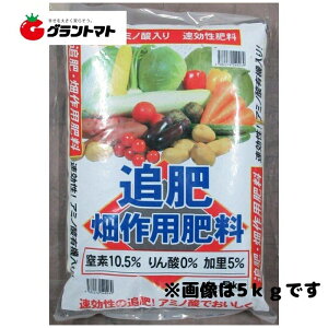 �ǔ�@����p�엿�@5kg�i11-0-5�j�@�L�@�A�~�m�_���葬�����엿