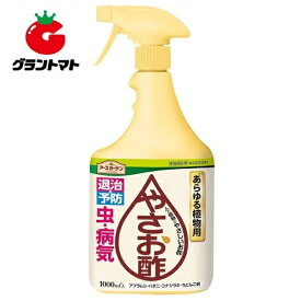 楽天市場 うどんこ病 酢 スプレーの通販