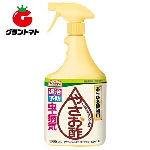Iōő100%|CgobN ₳| 1000mL 100%Hi̎EEۍ܃Xv[ A[X