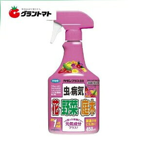 �S�iP3�{!20���`4h���� �J�_���v���XDX�@450ml 450ml�t�}�L���[�y��񏤕i�z