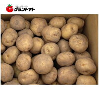 北海道産じゃがいも種子キタアカリ(北あかり)5kg箱【種ばれいしょ検疫合格証票付き】※サイズはお選びいただけません。