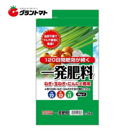 一発肥料 1kg ねぎ・玉ねぎ・にんにく専用 22-12-11-2 セントラルグリーン