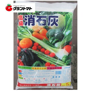 ΊD@@5kg@_y뒆a엿@|