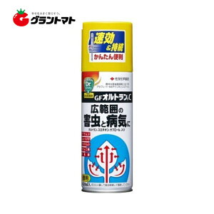 GFIgC 420ml EEۍ ZFw|