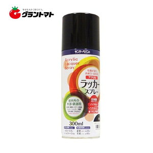 ANbJ[Xv[ 300ml F Xv[h Tf[yCg