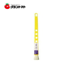 11/5 11:00`23:59P3{I Gi S 15mm yLp nP C_Xg[R[