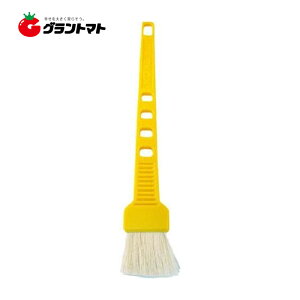 11/5 11:00`23:59P3{I Gi M 30mm yLp nP C_Xg[R[