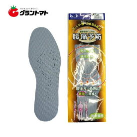 腰痛予防インソール フリーサイズ is-fit(イズフィット)