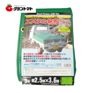 GXezgbNV[g 3 2.50m×3.60m Soh10{t 