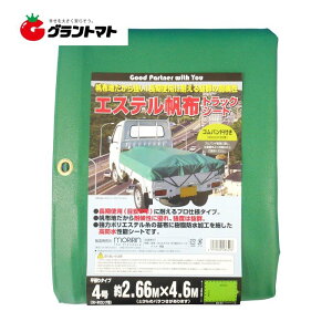 GXezgbNV[g 4 2.66m×4.6m Soh10{t 