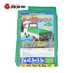 ^[|gbNV[g O[ 2 2.3m×3.5m Soh10{t 