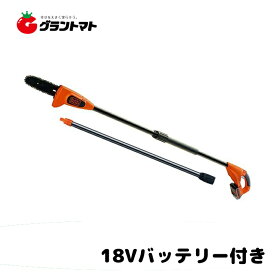 高枝ポールチェーンソー GPC1840LN バッテリー4.0Ah付き 2.9m 高枝切り電動チェーンソー BLACK+DECKER