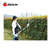 14.4V充電伸縮ポールヘッジトリマGHT-144SLiA刈込幅300mmEARTHMAN高儀【取寄商品】