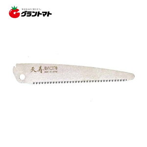 12/5IXSi|Cg3{ Vŷ ֐n 170mm ʎ苘 {Y