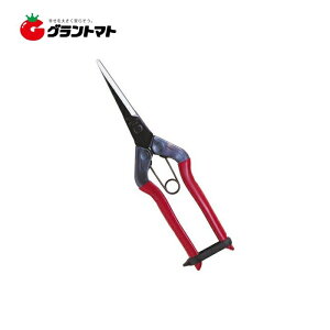 11/5 11:00`23:59P3{I  T-570 O 뒼n olt 195mm ߐ y񏤕iz