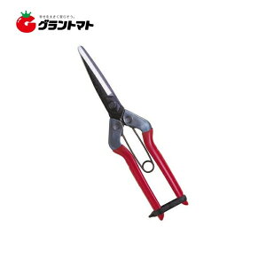  T-700 ےn olt 210mm ߐy񏤕iz