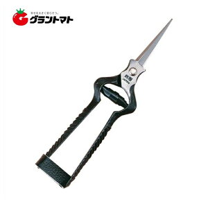 ŕ VmMt K-3 zH ѐy݌Ɍz