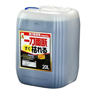 ꓁f͂ 20L U^Cv  ߃^Cv _knp OzT[g34 MCP