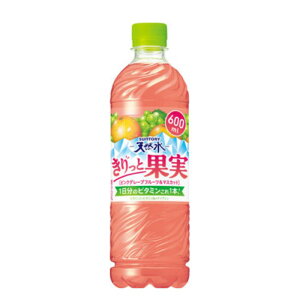 Iōő100%|CgobN Tg[ VR Ɖʎ sNO[vt[c&}XJbg 600ml 2P[X48{yz