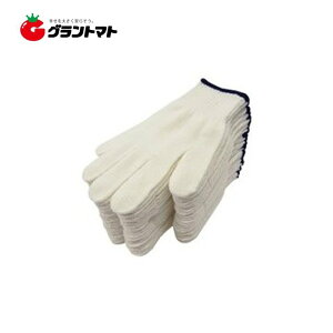 11/5 11:00`23:59P3{I GRuɁvR 600(600g) 12g×60 Vm ~^jR[|[V