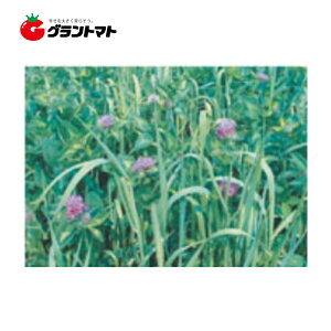 icE(Rh) 500g AJN[oq y񏤕izy䂤pPbgz