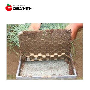 lg}[2 300 cp~ {[ؐy񏤕iz