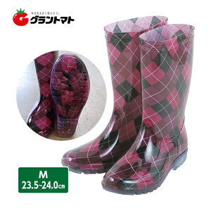 11/5 11:00`23:59P3{I wlPVCC C`FbN MTCY (23.5?24.0cm) VZC