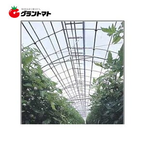 _CX^[UVJbg^Cv 0.15 600 1m _POyrj[nEXzy񏤕izy󒍐Yz