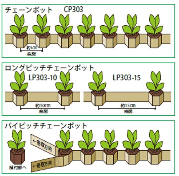 楽天市場】チェーンポット CP-303 箱売り150冊いり 播種育苗用資材 